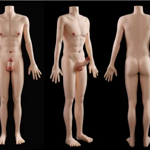 170 Male Model realistic male torso doll with dildo - KeHarbor product photo
